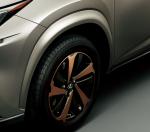 Lexus NX300 Bronze Edition 2020 года (JP)